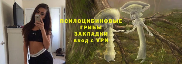 крисы Вязники