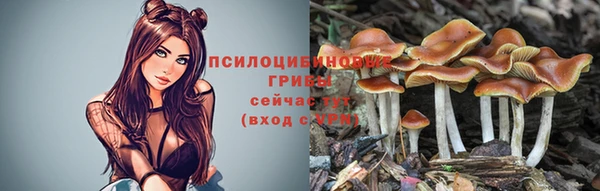 крисы Вязники