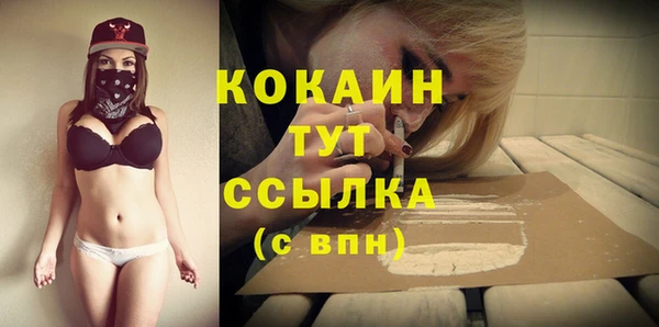 прущие крисы Вяземский