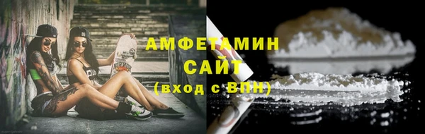прущие крисы Вяземский