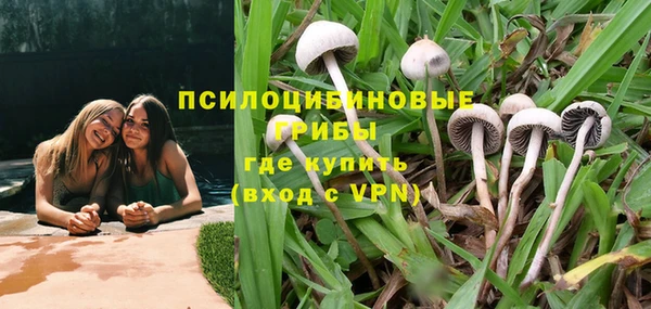 прущие крисы Вяземский