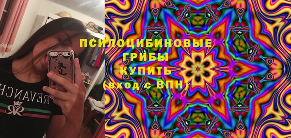 крисы Вязники