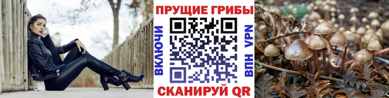 Галлюциногенные грибы Magic Shrooms  Санкт-Петербург 