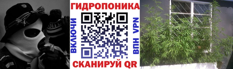 закладка  hydra вход  Марихуана AK-47  Санкт-Петербург 